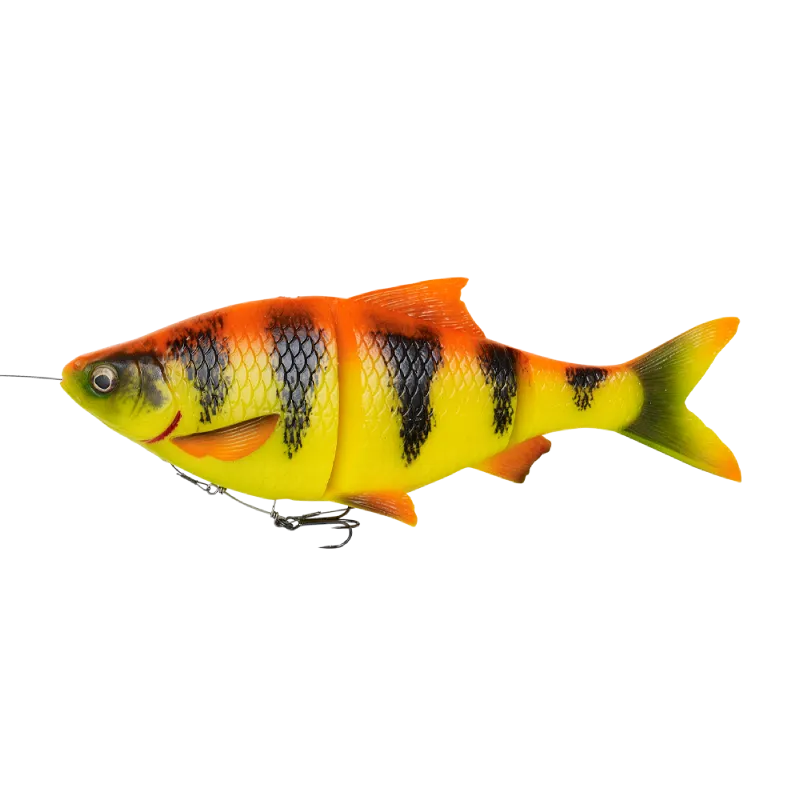 4D Line Thru Roach 18cm