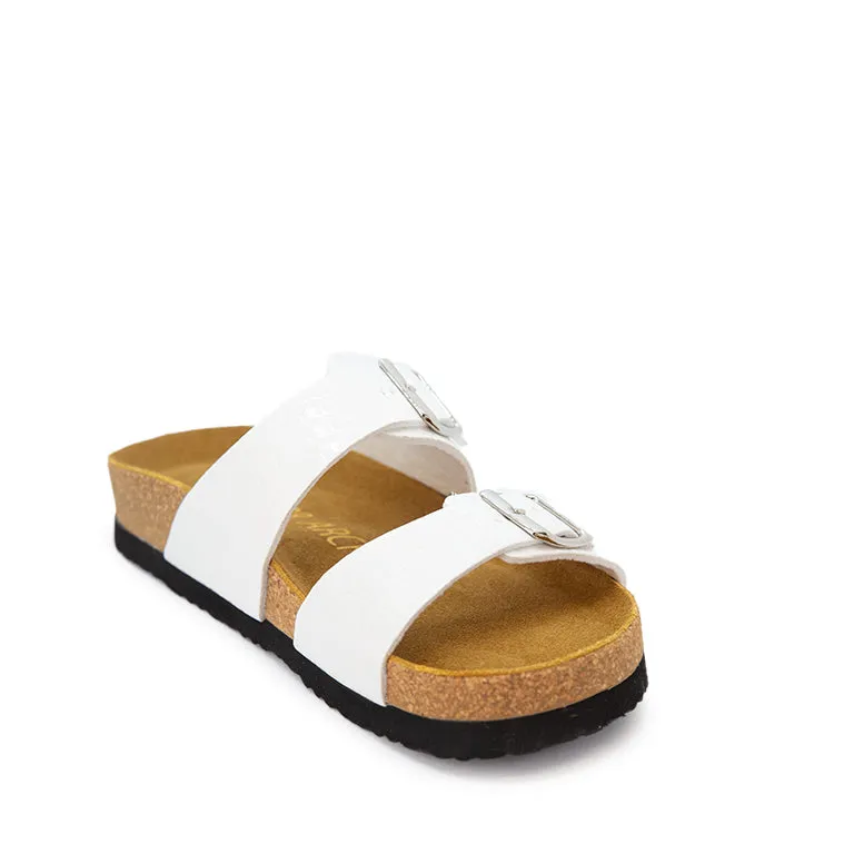 ARCHES FRESH ELEGANT PU