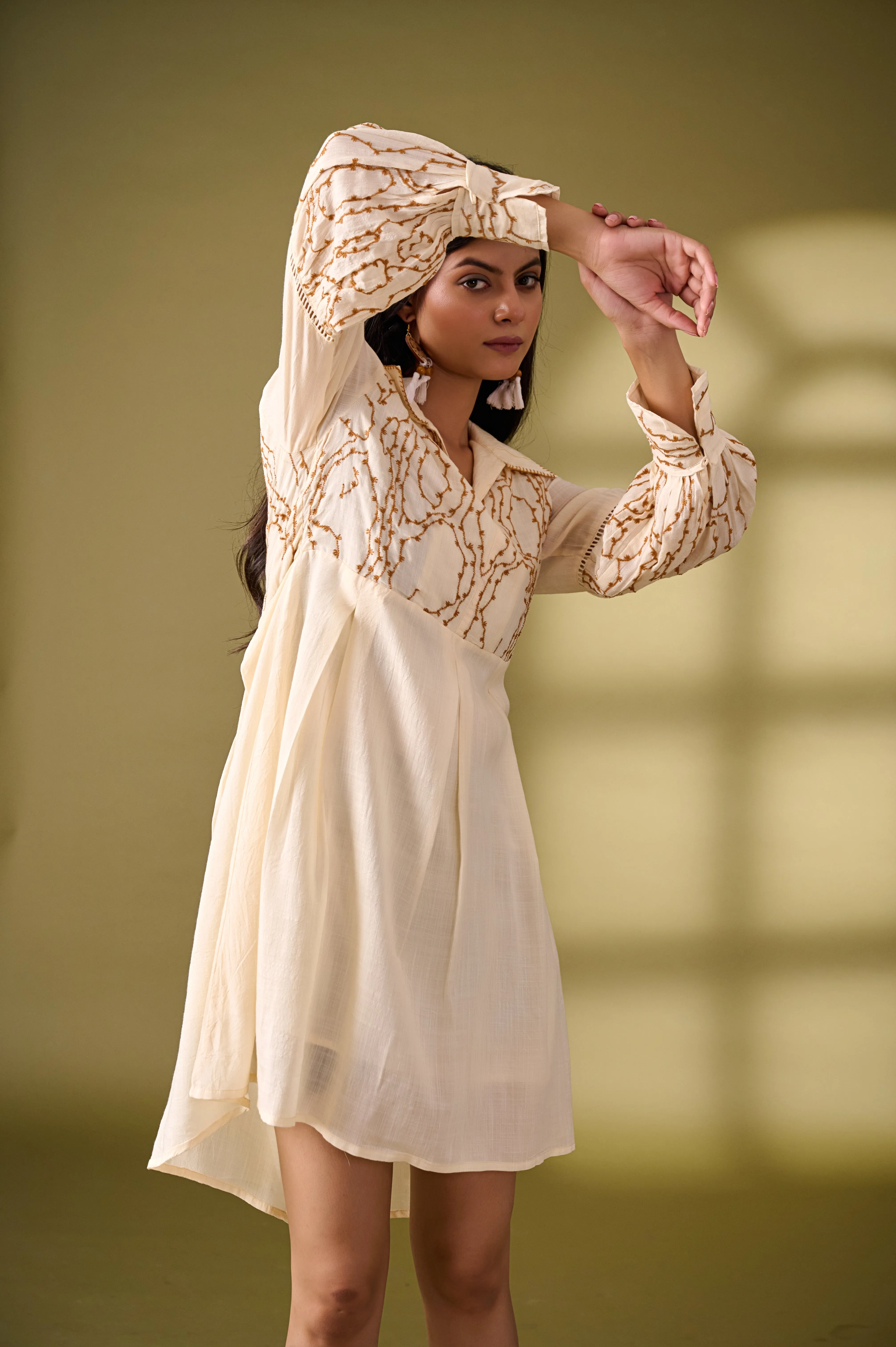Beige Fit and Flare Cotton Dress