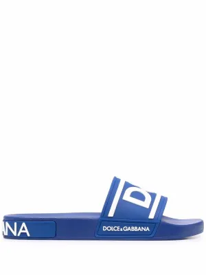 DG slides