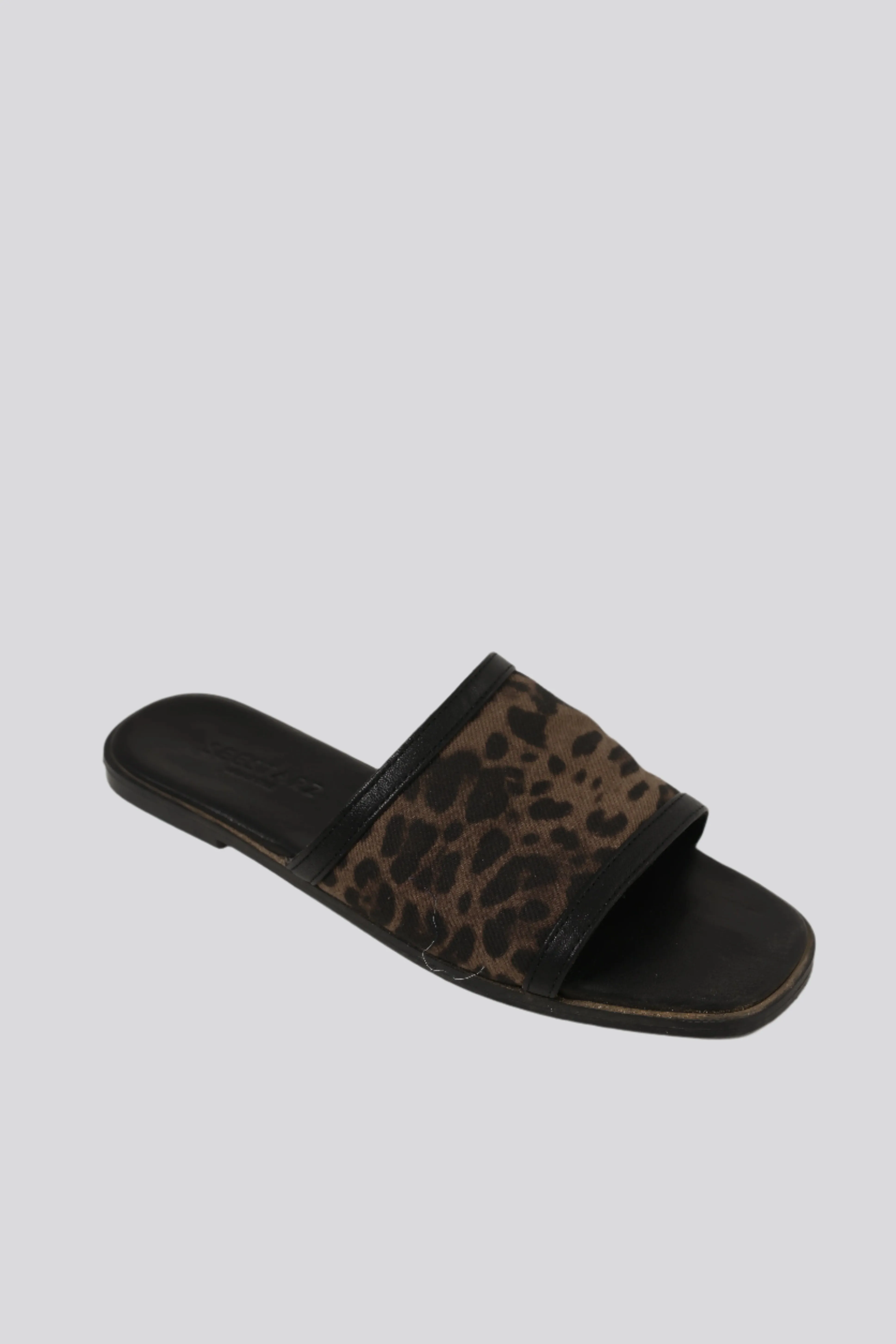 DNA No.24 Leopard Slides