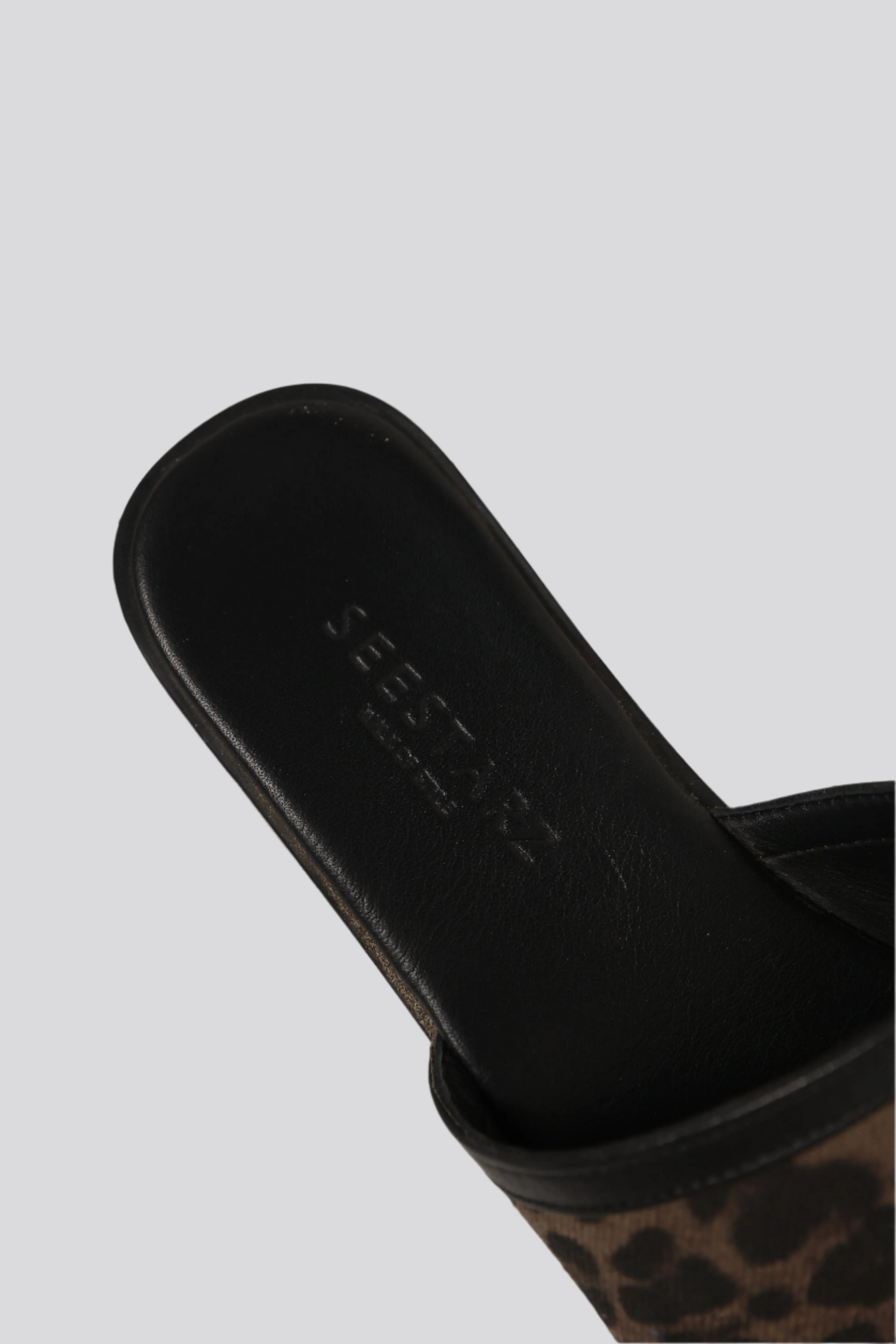 DNA No.24 Leopard Slides