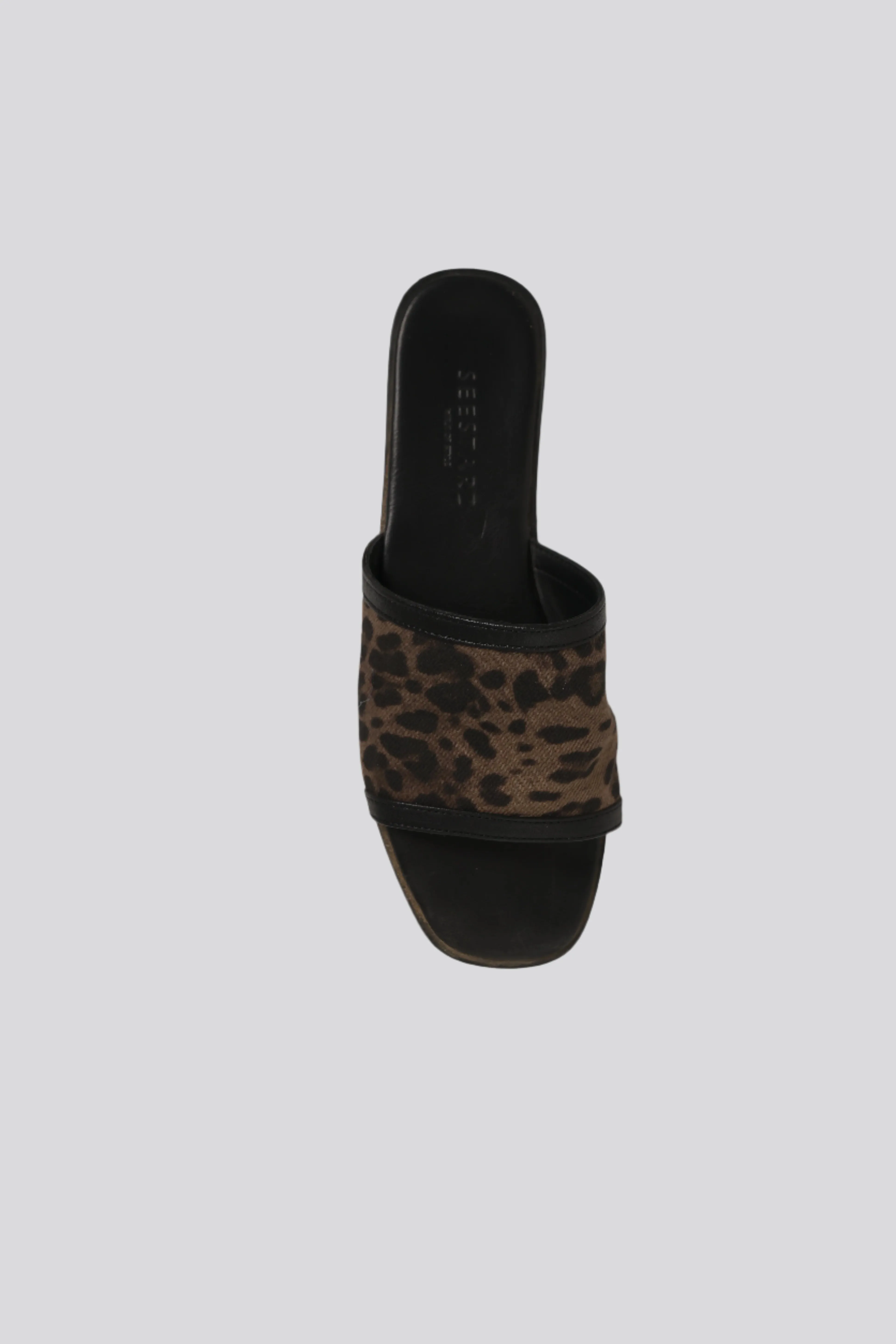 DNA No.24 Leopard Slides