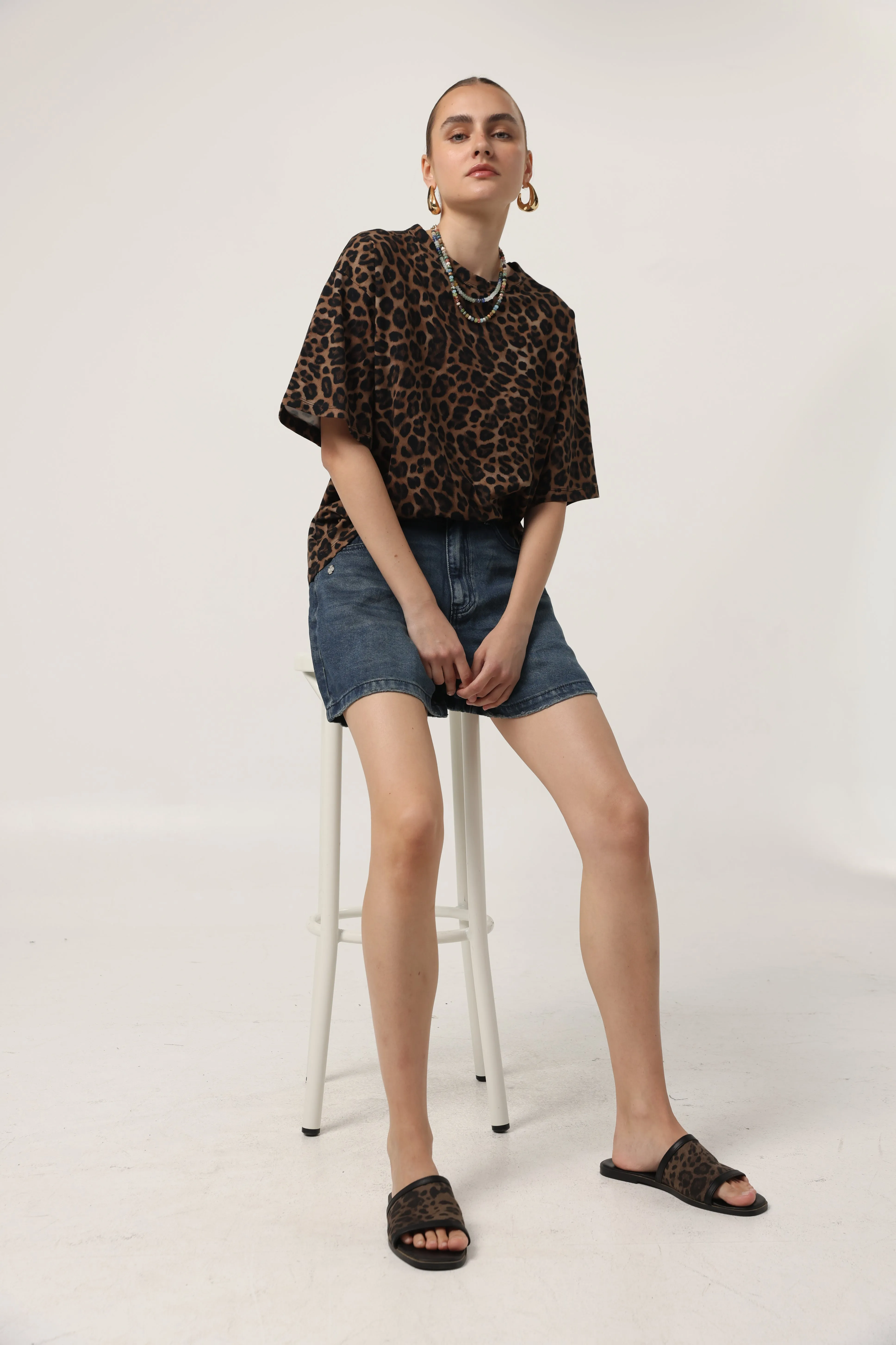 DNA No.24 Leopard Slides