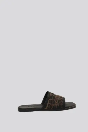 DNA No.24 Leopard Slides