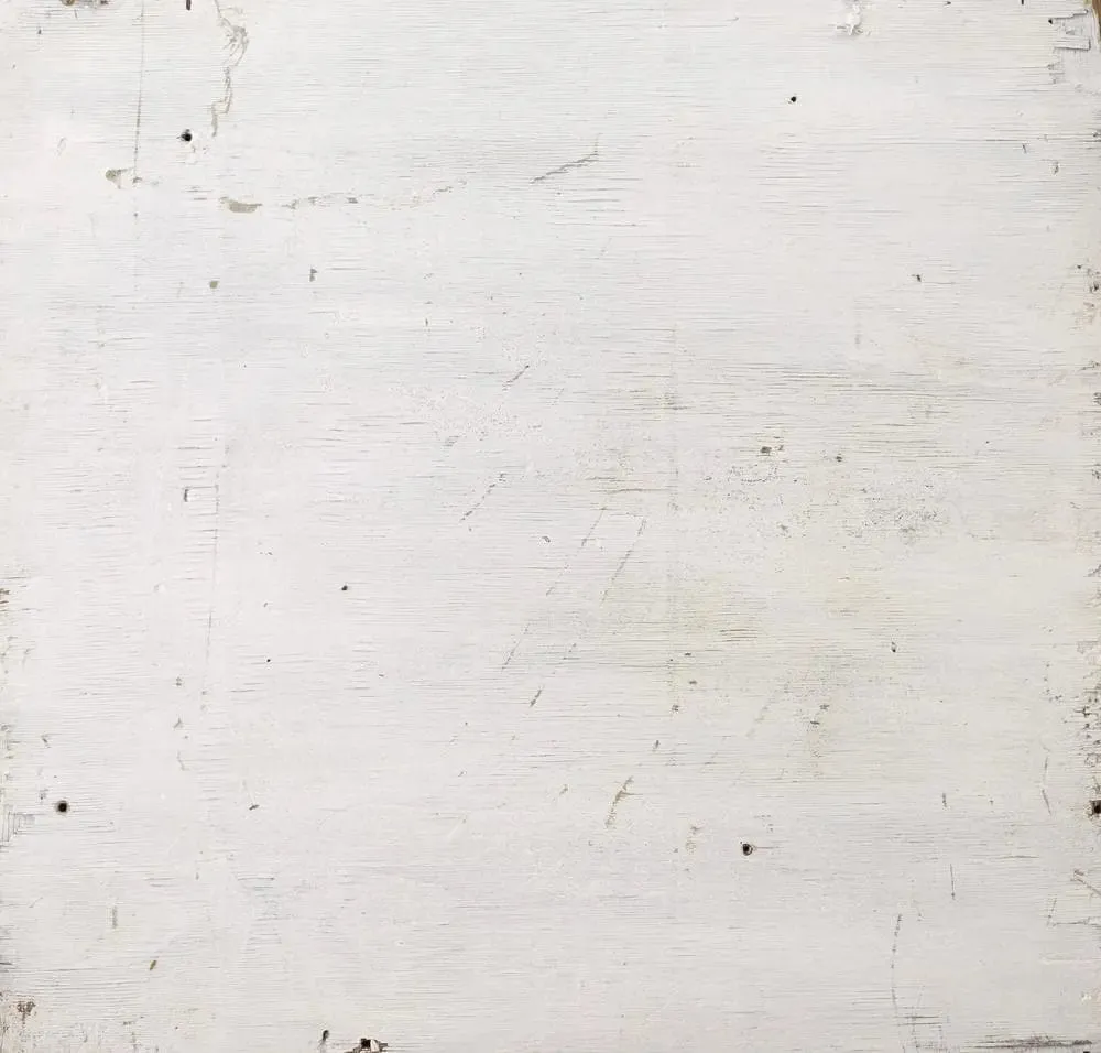 Flat Lay Photo Backdrop