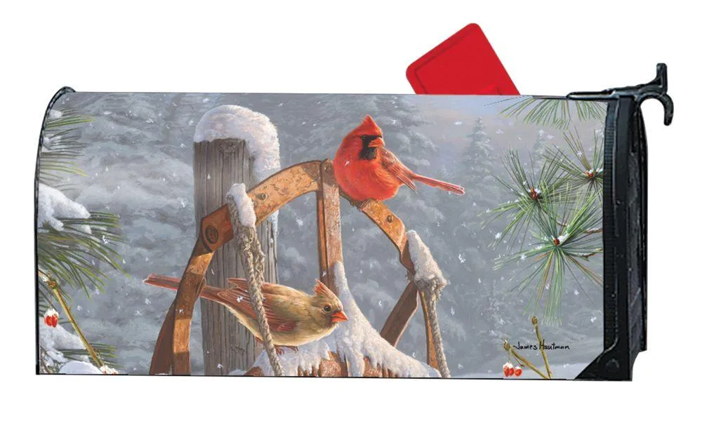 Fresh Snow, Birds Mailbox Cover