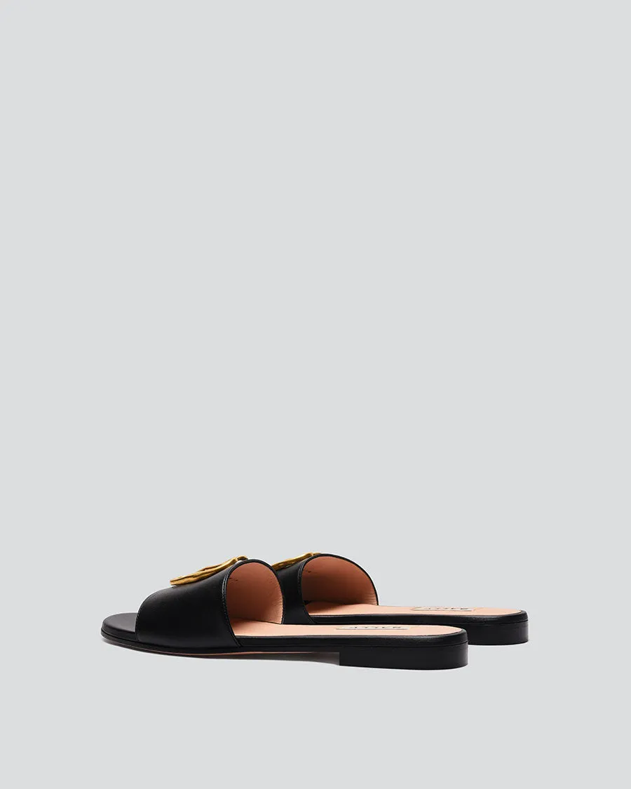Ghis - Slides