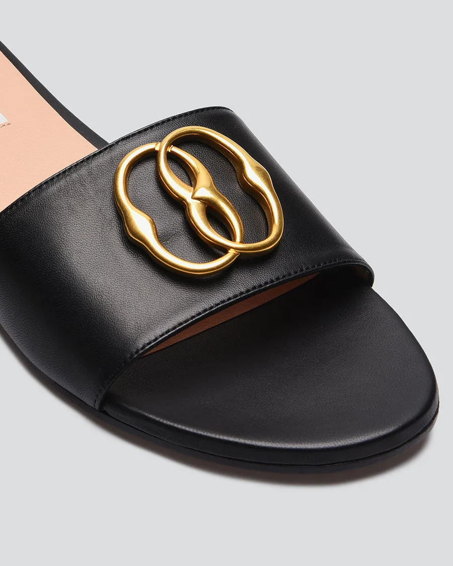 Ghis - Slides