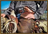 High Country by Pine Ridge Knife Company