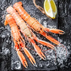 Langoustines/Scampi
