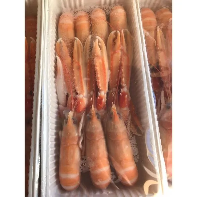 Langoustines/Scampi