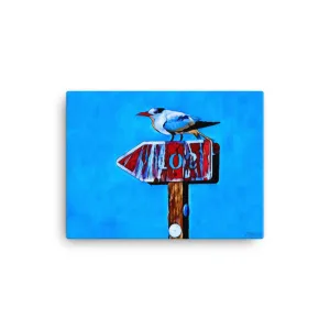 Left Tern