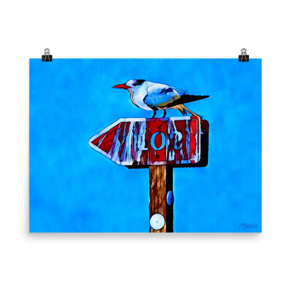 Left Tern