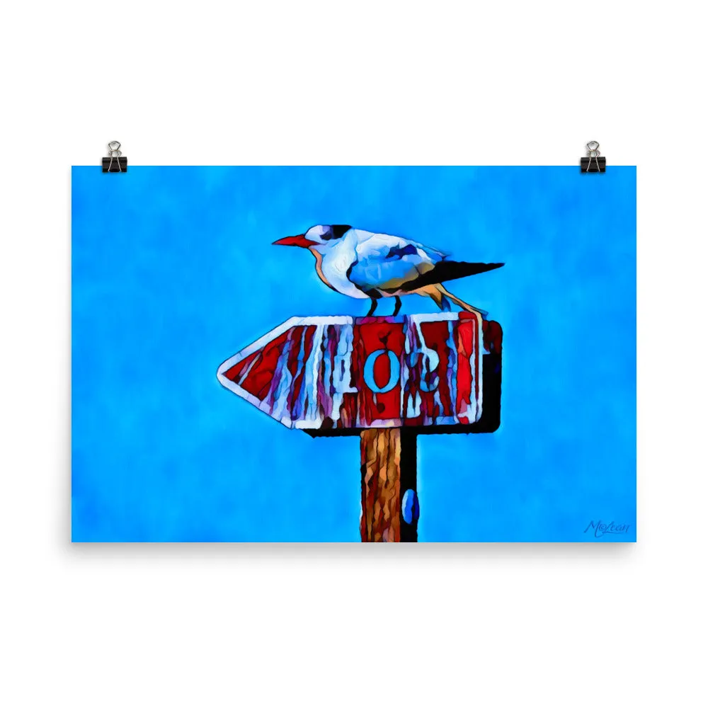 Left Tern