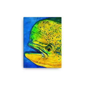 Mahi-Mahi