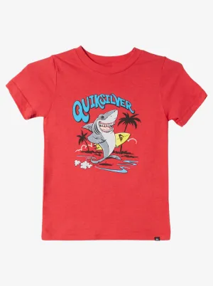Quiksilver Little Boys Washed Out T-Shirt