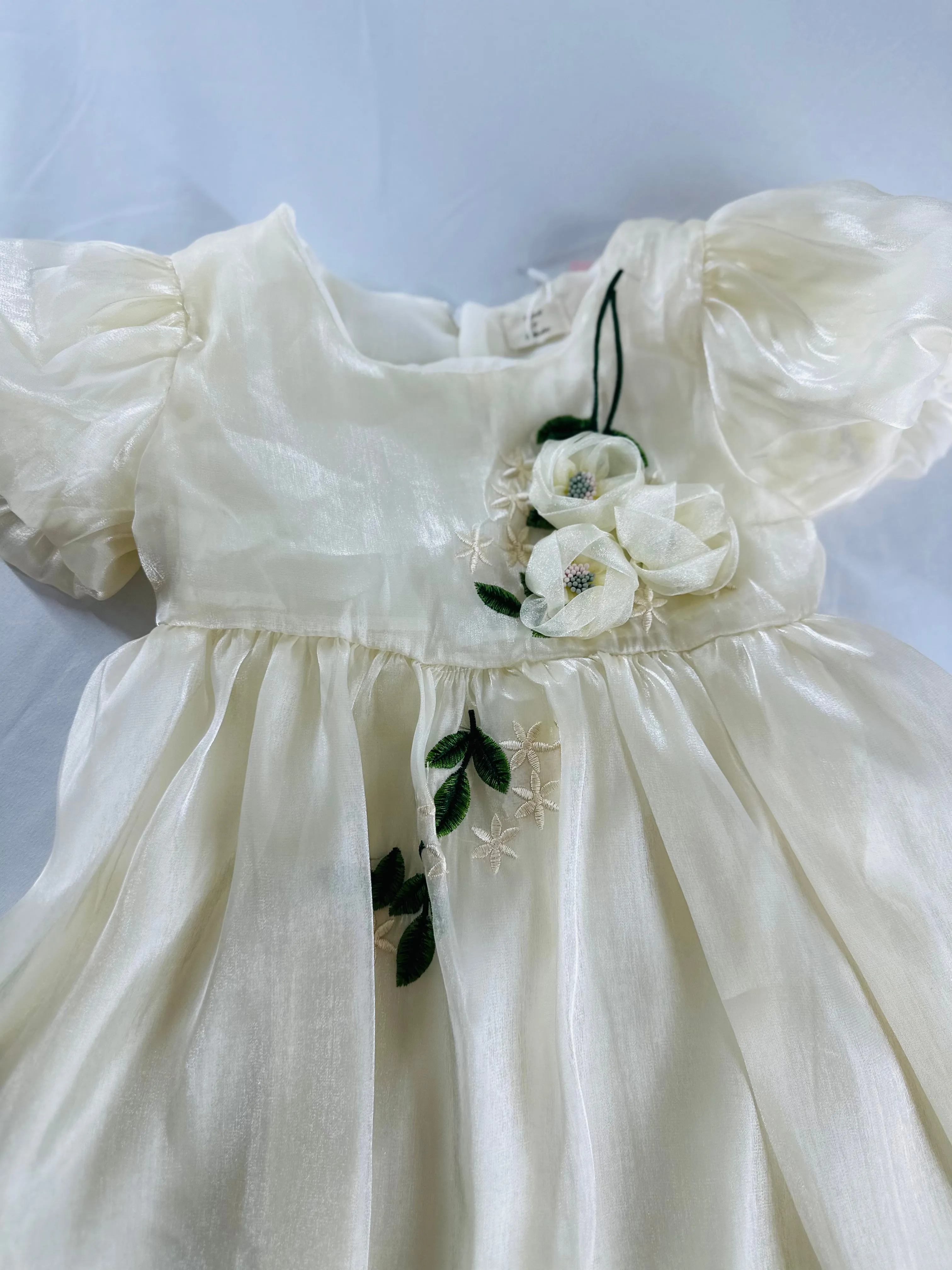 Silk Organza Dress - Hand-Embroidered Flowers