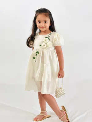 Silk Organza Dress - Hand-Embroidered Flowers
