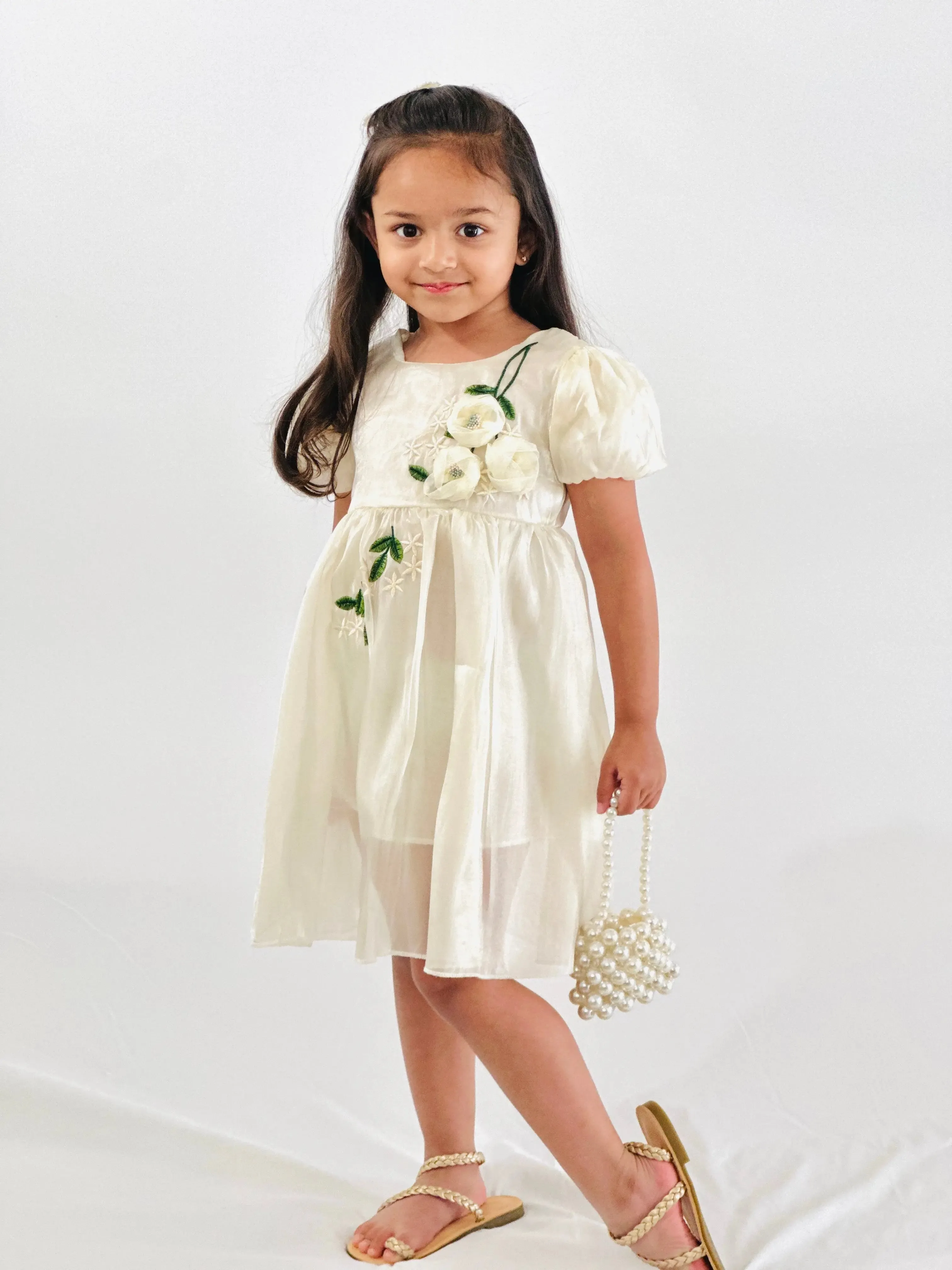 Silk Organza Dress - Hand-Embroidered Flowers