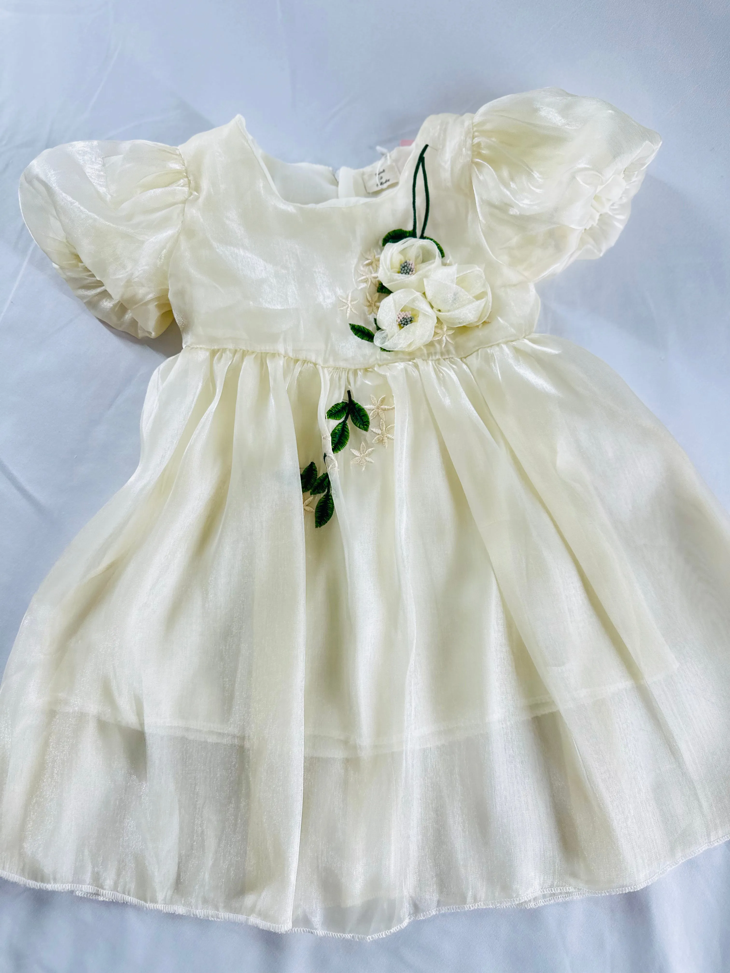 Silk Organza Dress - Hand-Embroidered Flowers
