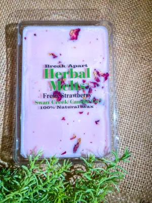 Swan Creek Drizzle Melt || Fresh Strawberry