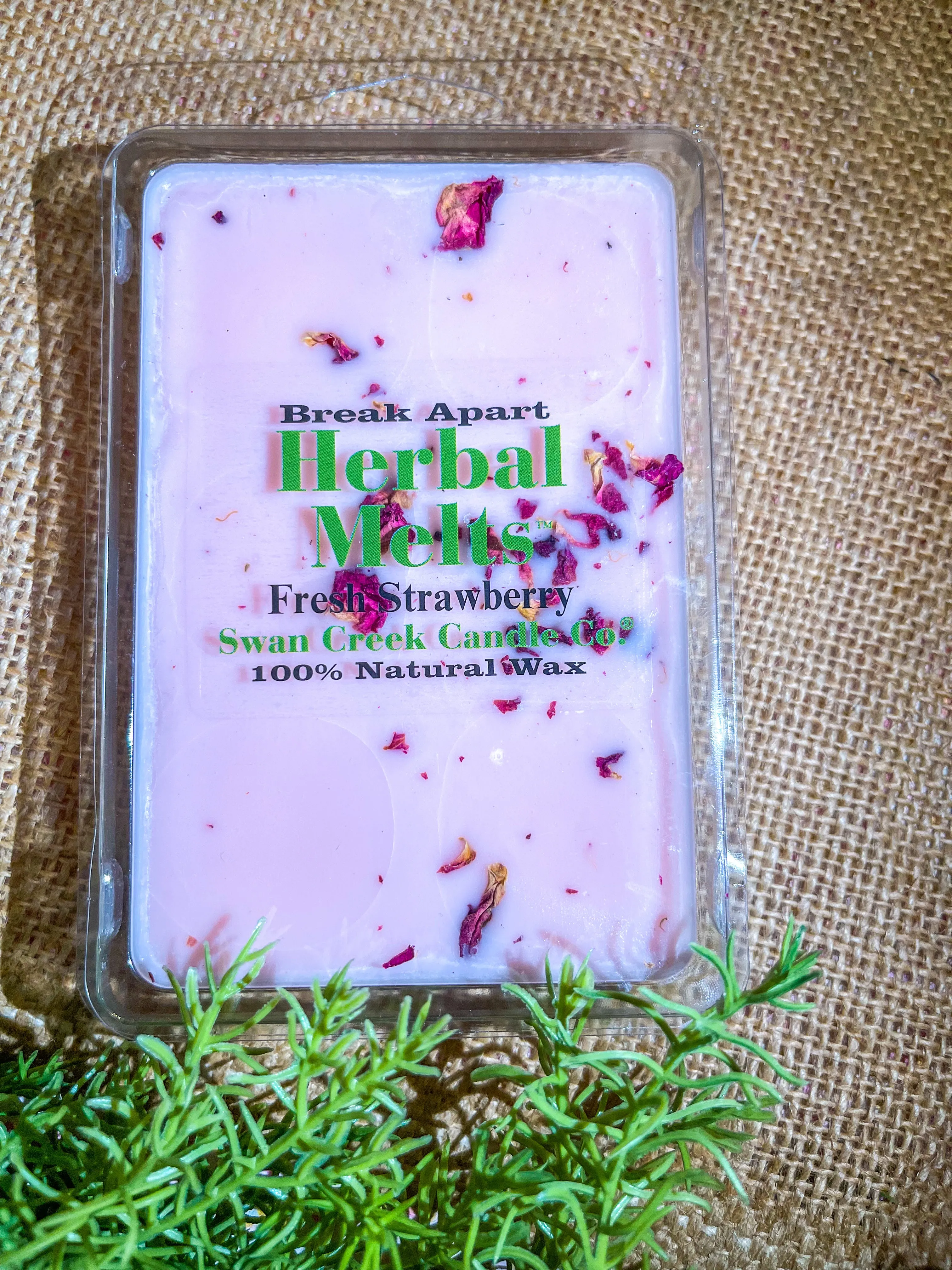 Swan Creek Drizzle Melt || Fresh Strawberry