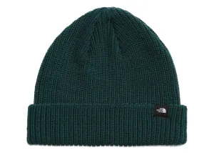 The North Face TNF Fisherman Beanie Ponderosa Green Dark