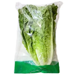 Watts Farms Lettuce Cos Large 2s