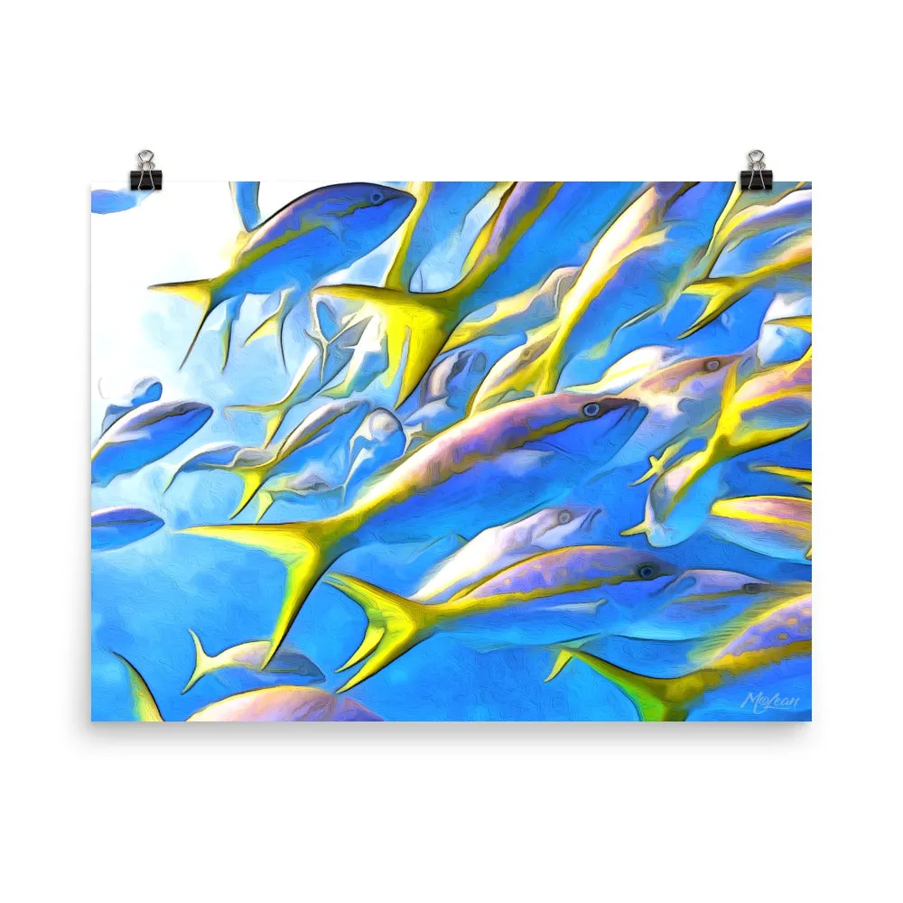 Yellowtails