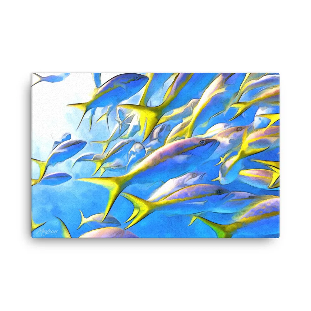 Yellowtails