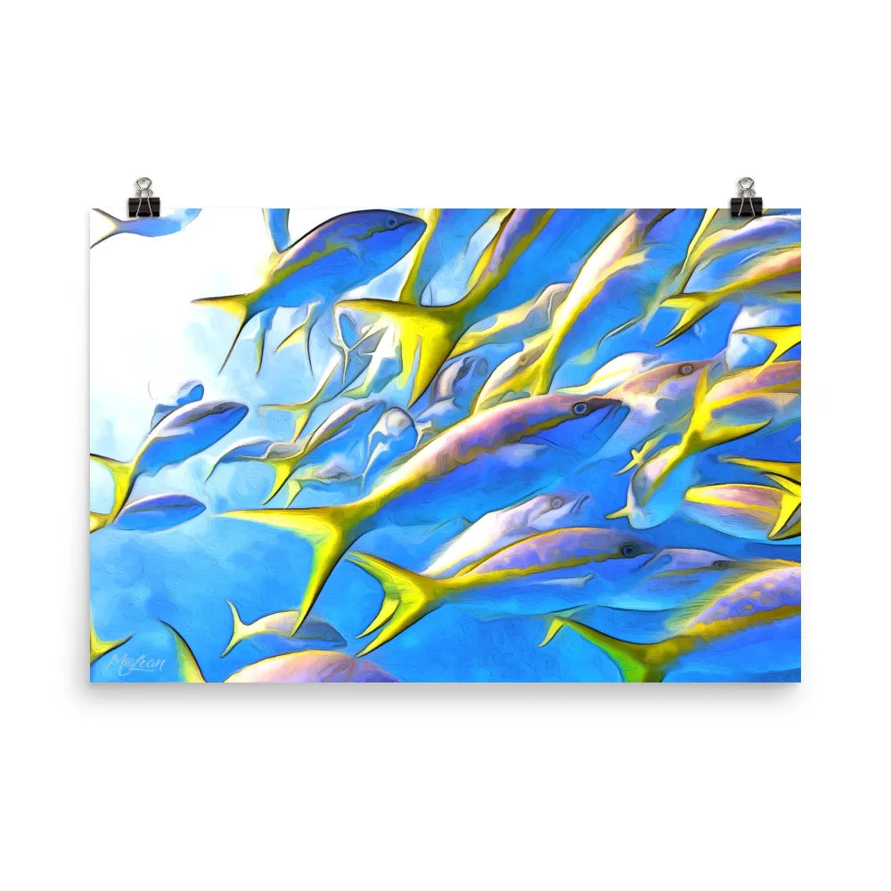Yellowtails