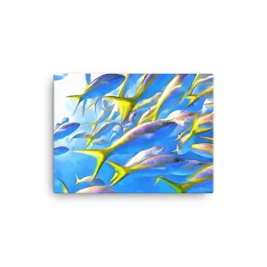 Yellowtails